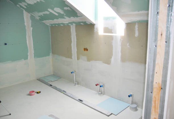 Best Fire-Damaged Drywall Repair  in Schler Park, IL